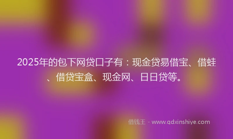 2025年的包下网贷口子有：现金贷易借宝、借蛙、借贷宝盒、现金网、日日贷等。
