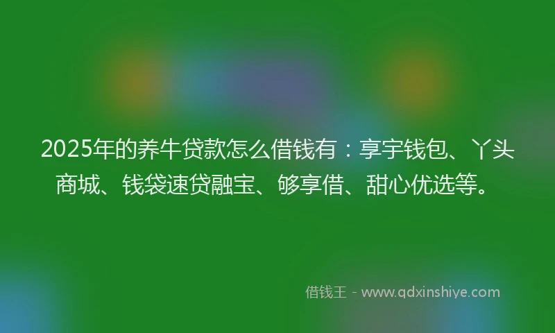 2025年的养牛贷款怎么借钱有：享宇钱包、丫头商城、钱袋速贷融宝、够享借、甜心优选等。