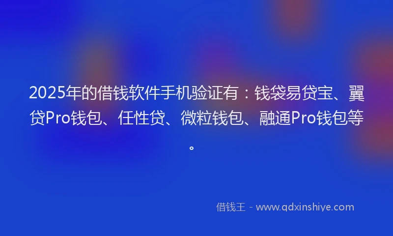 2025年的借钱软件手机验证有：钱袋易贷宝、翼贷Pro钱包、任性贷、微粒钱包、融通Pro钱包等。