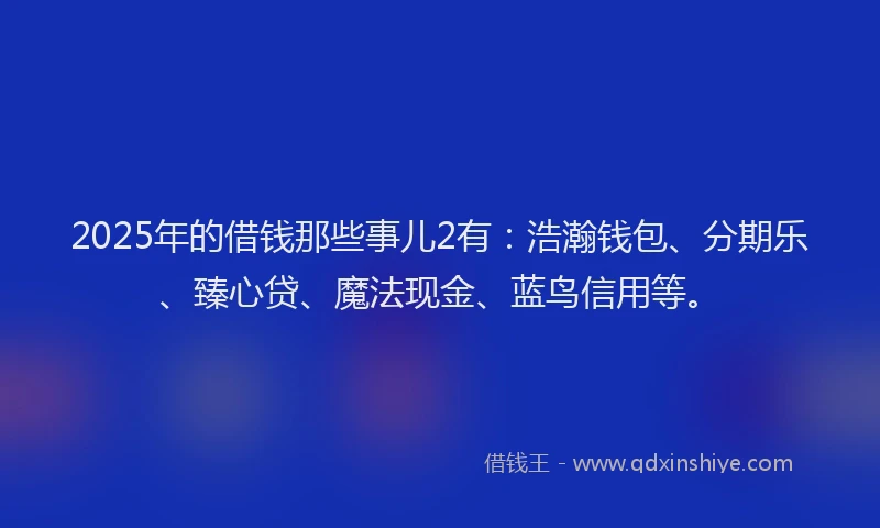 2025年的借钱那些事儿2有：浩瀚钱包、分期乐、臻心贷、魔法现金、蓝鸟信用等。