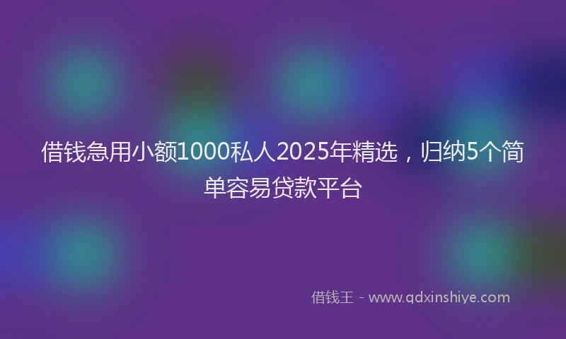 借钱急用小额1000私人2025年精选，归纳5个简单容易贷款平台