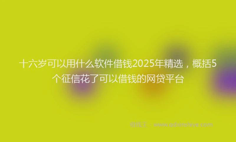 十六岁可以用什么软件借钱2025年精选，概括5个征信花了可以借钱的网贷平台