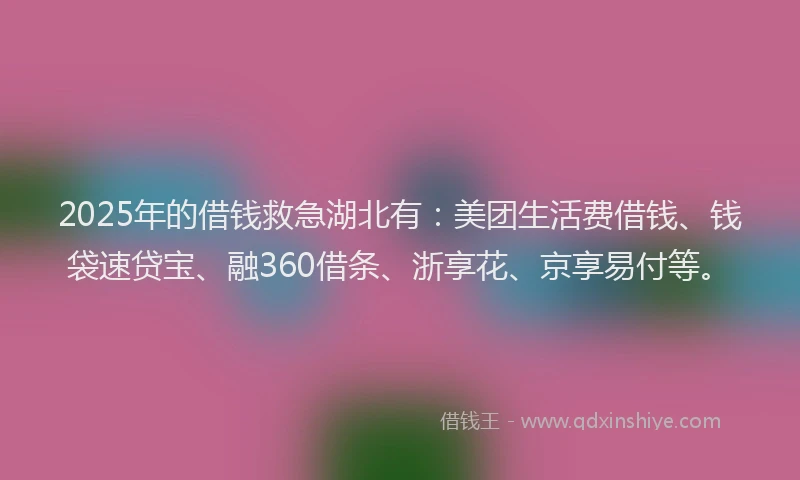 2025年的借钱救急湖北有：美团生活费借钱、钱袋速贷宝、融360借条、浙享花、京享易付等。