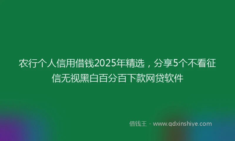 农行个人信用借钱2025年精选，分享5个不看征信无视黑白百分百下款网贷软件