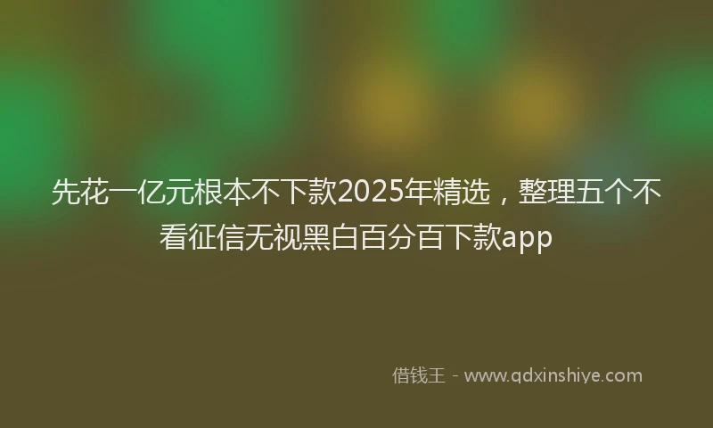 先花一亿元根本不下款2025年精选，整理五个不看征信无视黑白百分百下款app