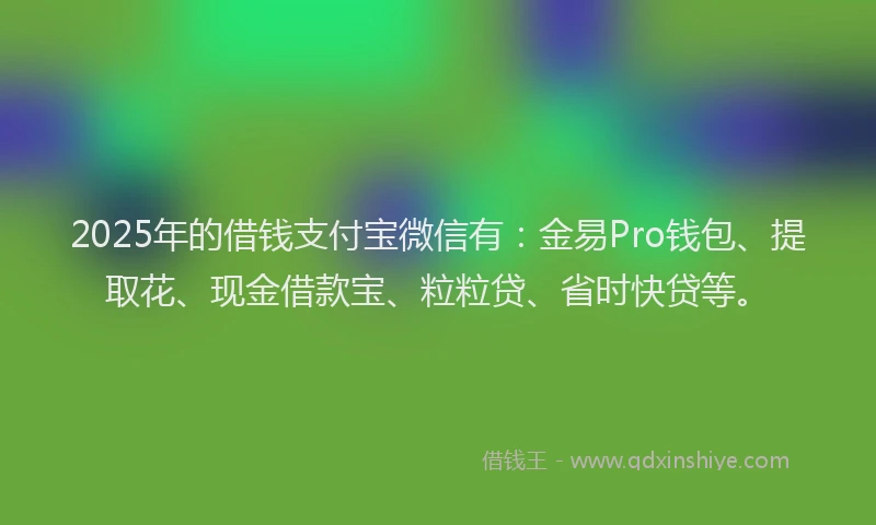 2025年的借钱支付宝微信有：金易Pro钱包、提取花、现金借款宝、粒粒贷、省时快贷等。