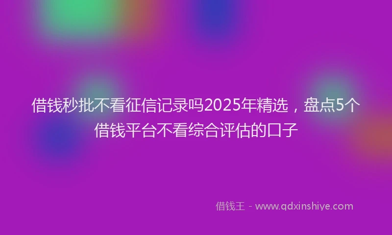 借钱秒批不看征信记录吗2025年精选，盘点5个借钱平台不看综合评估的口子