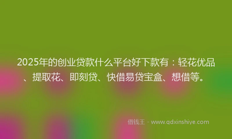 2025年的创业贷款什么平台好下款有：轻花优品、提取花、即刻贷、快借易贷宝盒、想借等。