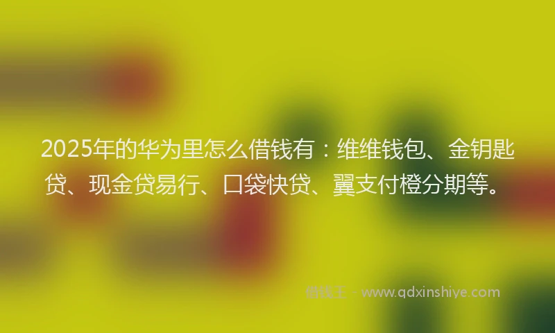 2025年的华为里怎么借钱有：维维钱包、金钥匙贷、现金贷易行、口袋快贷、翼支付橙分期等。
