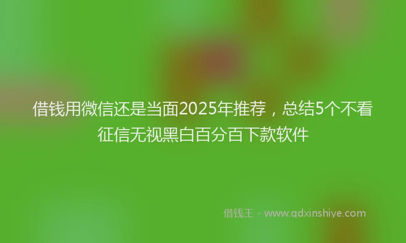 借钱用微信还是当面2025年推荐，总结5个不看征信无视黑白百分百下款软件