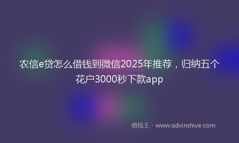 农信e贷怎么借钱到微信2025年推荐，归纳五个花户3000秒下款app