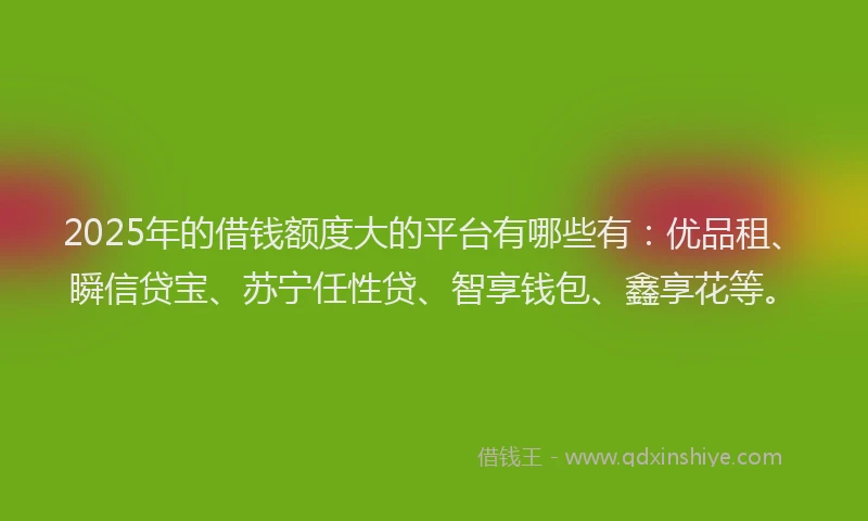 2025年的借钱额度大的平台有哪些有：优品租、瞬信贷宝、苏宁任性贷、智享钱包、鑫享花等。