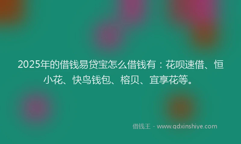 2025年的借钱易贷宝怎么借钱有：花呗速借、恒小花、快鸟钱包、榕贝、宜享花等。