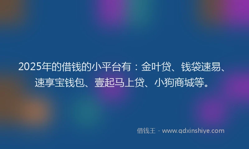 2025年的借钱的小平台有：金叶贷、钱袋速易、速享宝钱包、壹起马上贷、小狗商城等。