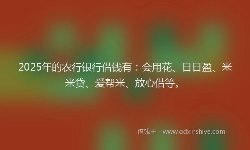 2025年的农行银行借钱有：会用花、日日盈、米米贷、爱帮米、放心借等。