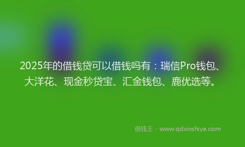 2025年的借钱贷可以借钱吗有：瑞信Pro钱包、大洋花、现金秒贷宝、汇金钱包、鹿优选等。