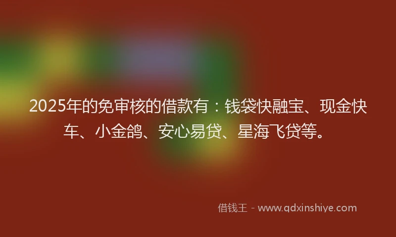 2025年的免审核的借款有：钱袋快融宝、现金快车、小金鸽、安心易贷、星海飞贷等。