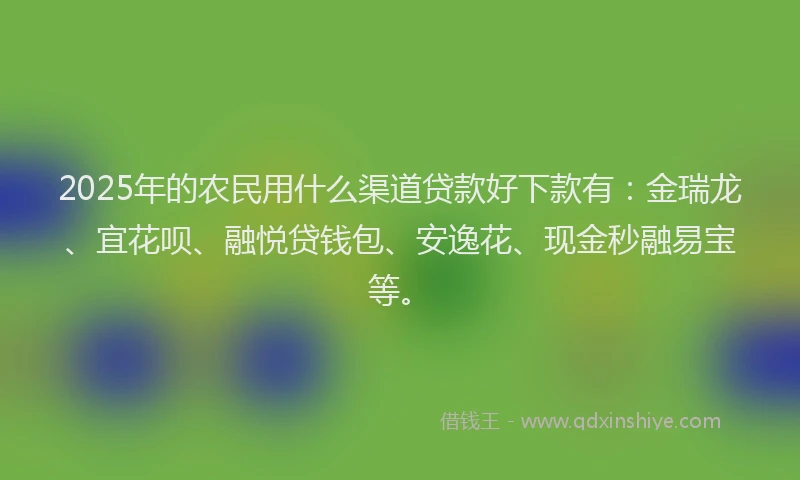 2025年的农民用什么渠道贷款好下款有：金瑞龙、宜花呗、融悦贷钱包、安逸花、现金秒融易宝等。