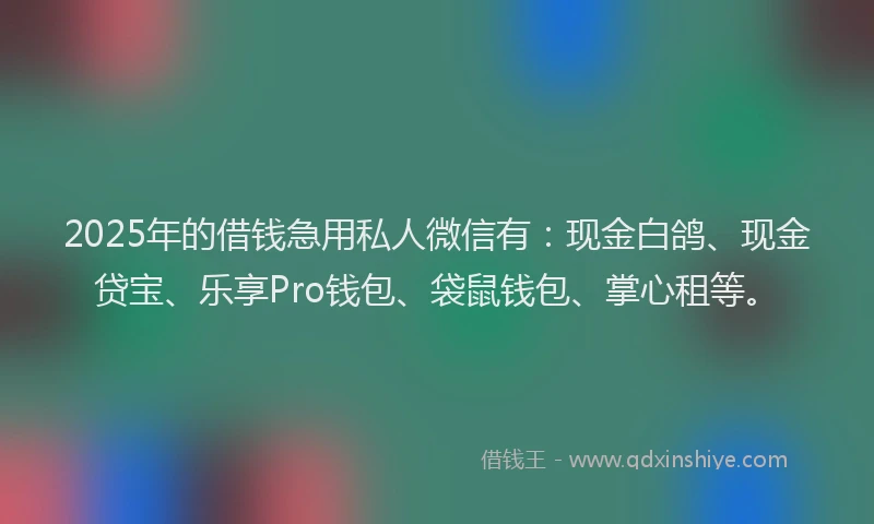 2025年的借钱急用私人微信有：现金白鸽、现金贷宝、乐享Pro钱包、袋鼠钱包、掌心租等。