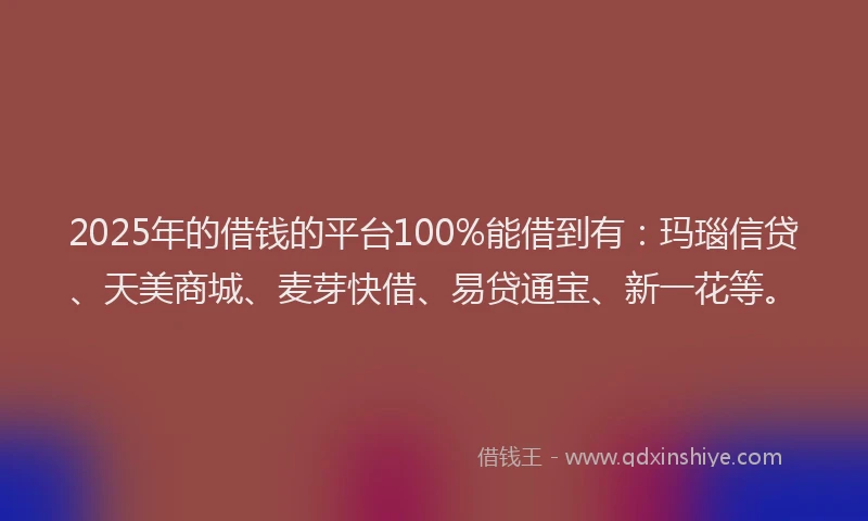 2025年的借钱的平台100%能借到有：玛瑙信贷、天美商城、麦芽快借、易贷通宝、新一花等。