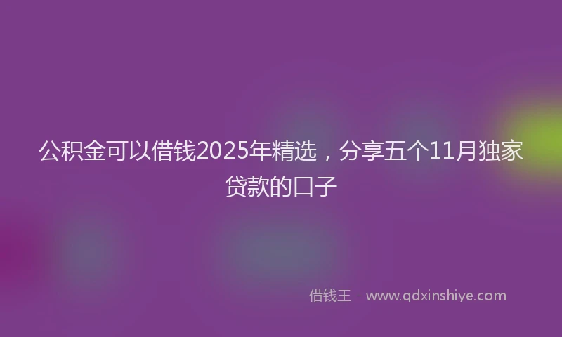 公积金可以借钱2025年精选，分享五个11月独家贷款的口子