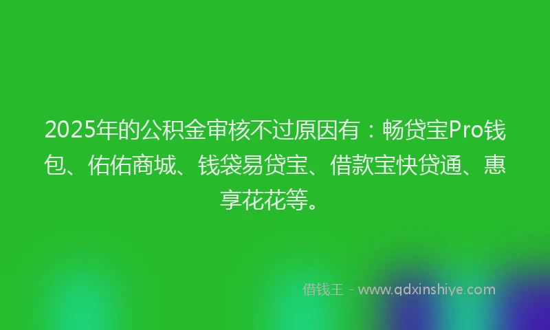 2025年的公积金审核不过原因有：畅贷宝Pro钱包、佑佑商城、钱袋易贷宝、借款宝快贷通、惠享花花等。