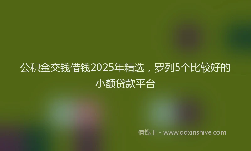 公积金交钱借钱2025年精选，罗列5个比较好的小额贷款平台