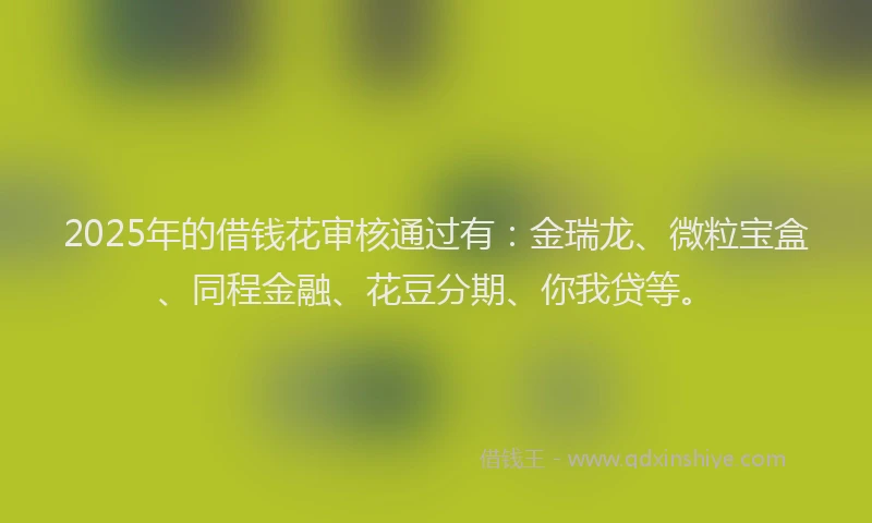 2025年的借钱花审核通过有：金瑞龙、微粒宝盒、同程金融、花豆分期、你我贷等。