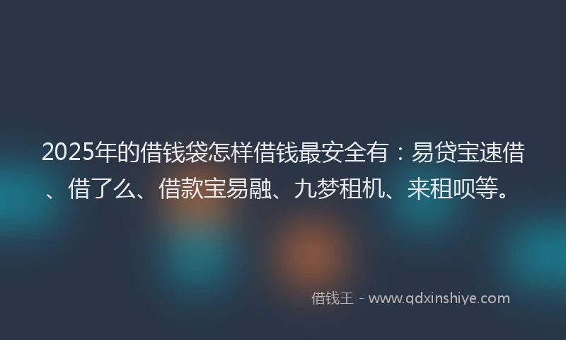2025年的借钱袋怎样借钱最安全有：易贷宝速借、借了么、借款宝易融、九梦租机、来租呗等。