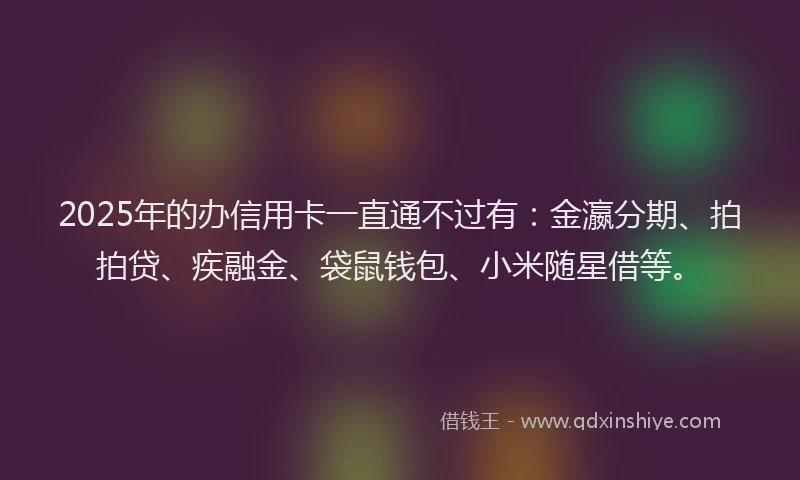 2025年的办信用卡一直通不过有：金瀛分期、拍拍贷、疾融金、袋鼠钱包、小米随星借等。