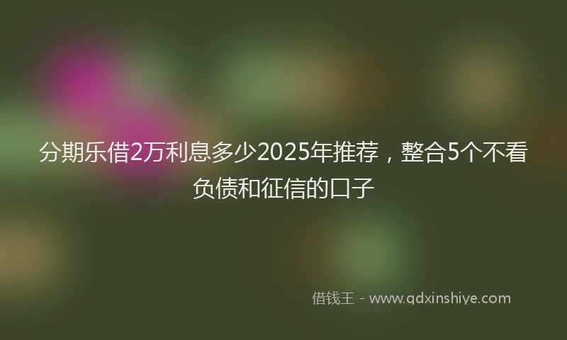 分期乐借2万利息多少2025年推荐，整合5个不看负债和征信的口子