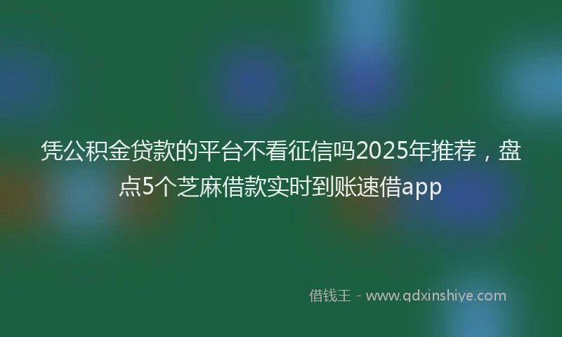 凭公积金贷款的平台不看征信吗2025年推荐，盘点5个芝麻借款实时到账速借app