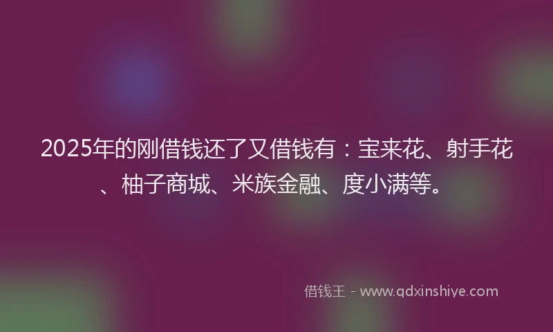 2025年的刚借钱还了又借钱有：宝来花、射手花、柚子商城、米族金融、度小满等。