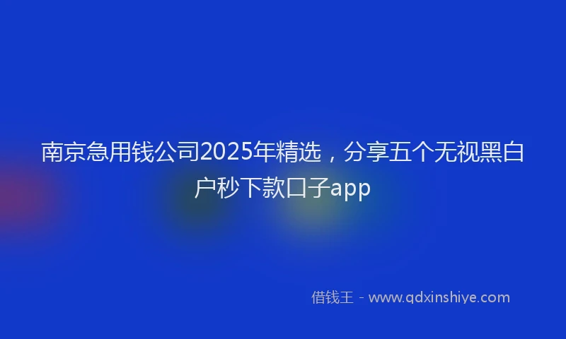 南京急用钱公司2025年精选，分享五个无视黑白户秒下款口子app