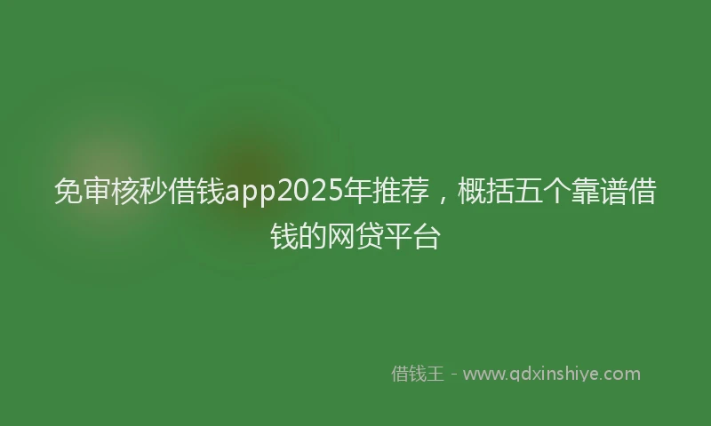 免审核秒借钱app2025年推荐，概括五个靠谱借钱的网贷平台