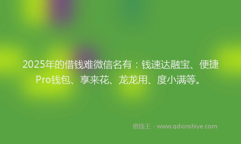 2025年的借钱难微信名有：钱速达融宝、便捷Pro钱包、享来花、龙龙用、度小满等。