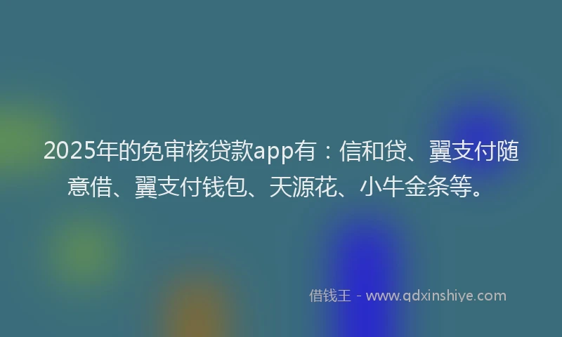 2025年的免审核贷款app有：信和贷、翼支付随意借、翼支付钱包、天源花、小牛金条等。