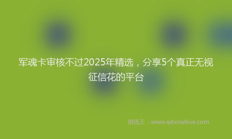 军魂卡审核不过2025年精选，分享5个真正无视征信花的平台