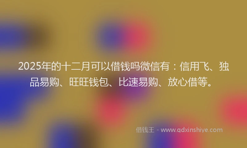 2025年的十二月可以借钱吗微信有：信用飞、独品易购、旺旺钱包、比速易购、放心借等。