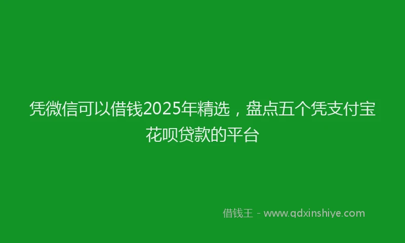 凭微信可以借钱2025年精选，盘点五个凭支付宝花呗贷款的平台