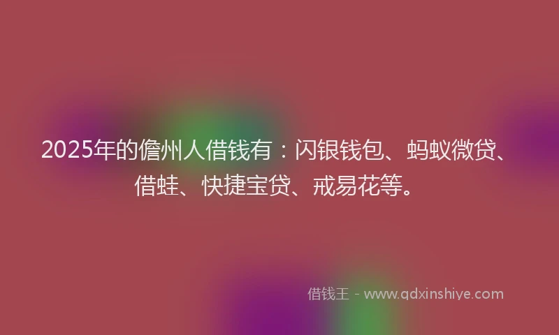 2025年的儋州人借钱有：闪银钱包、蚂蚁微贷、借蛙、快捷宝贷、戒易花等。