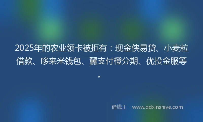 2025年的农业领卡被拒有：现金侠易贷、小麦粒借款、哆来米钱包、翼支付橙分期、优投金服等。