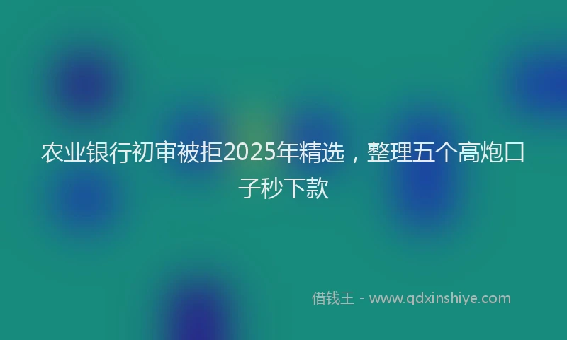 农业银行初审被拒2025年精选，整理五个高炮口子秒下款