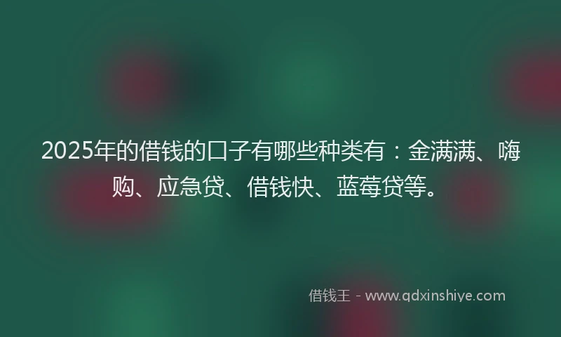 2025年的借钱的口子有哪些种类有：金满满、嗨购、应急贷、借钱快、蓝莓贷等。