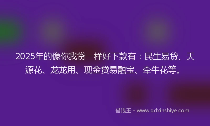 2025年的像你我贷一样好下款有：民生易贷、天源花、龙龙用、现金贷易融宝、牵牛花等。
