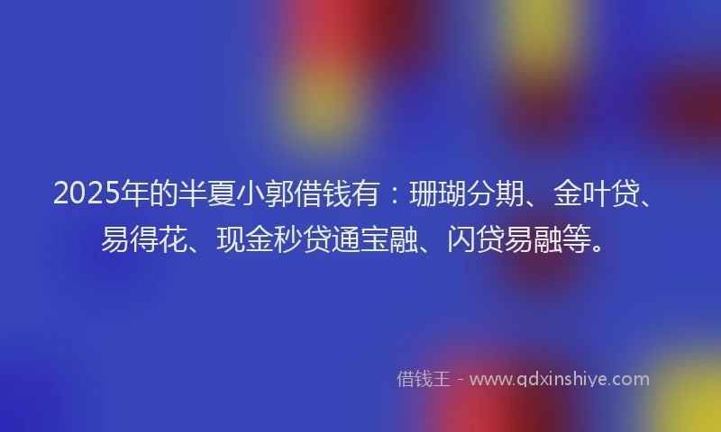 2025年的半夏小郭借钱有：珊瑚分期、金叶贷、易得花、现金秒贷通宝融、闪贷易融等。
