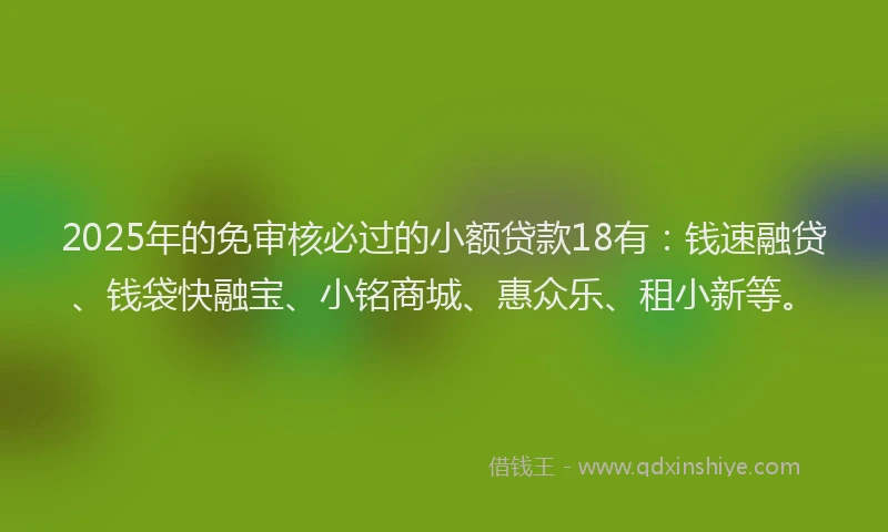 2025年的免审核必过的小额贷款18有：钱速融贷、钱袋快融宝、小铭商城、惠众乐、租小新等。
