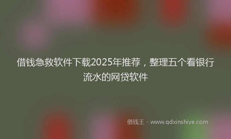 借钱急救软件下载2025年推荐，整理五个看银行流水的网贷软件