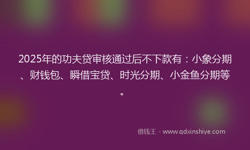 2025年的功夫贷审核通过后不下款有：小象分期、财钱包、瞬借宝贷、时光分期、小金鱼分期等。