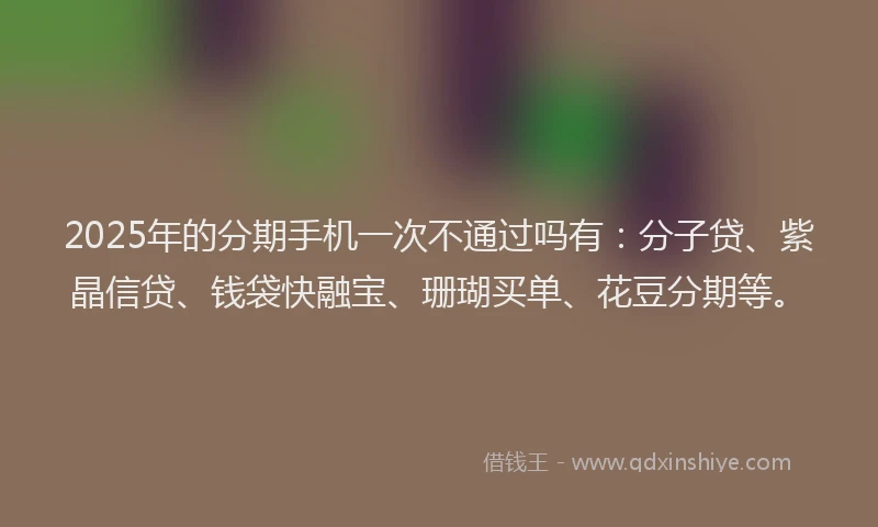 2025年的分期手机一次不通过吗有：分子贷、紫晶信贷、钱袋快融宝、珊瑚买单、花豆分期等。